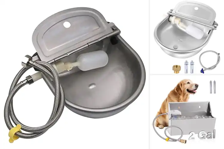 Detailed view of Best Farm Animal Waterers