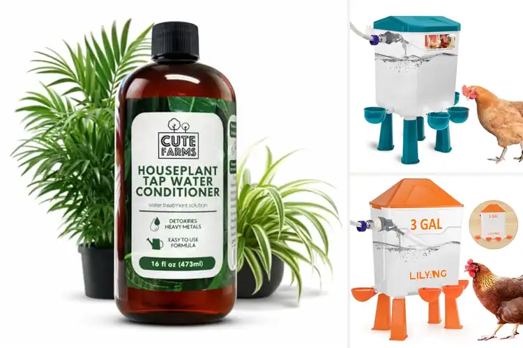 Detailed view of Best Farm Water Solutions: Fresh, Reliable Supply