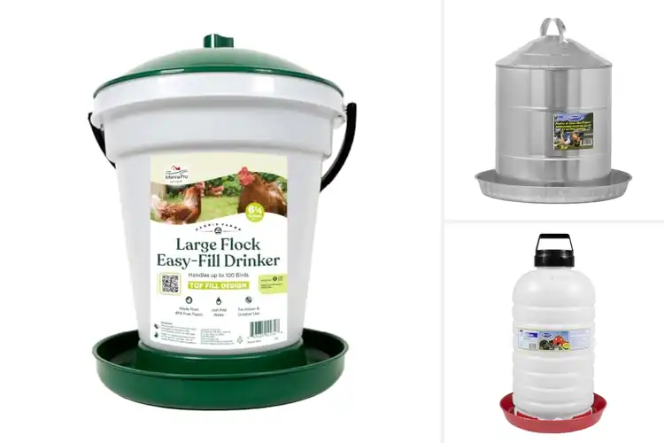 Detailed view of Best Farm Waterers: Top 10 Picks for Happy, Hydrated Animals
