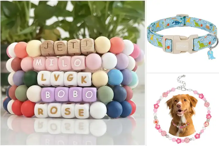 Detailed view of Best Fashionable Pet Collars