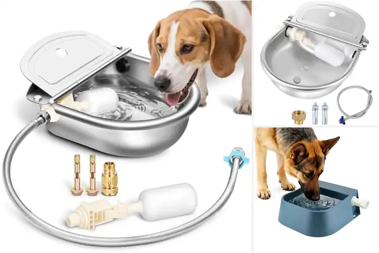 Detailed view of Best Float Valve Water Bowl