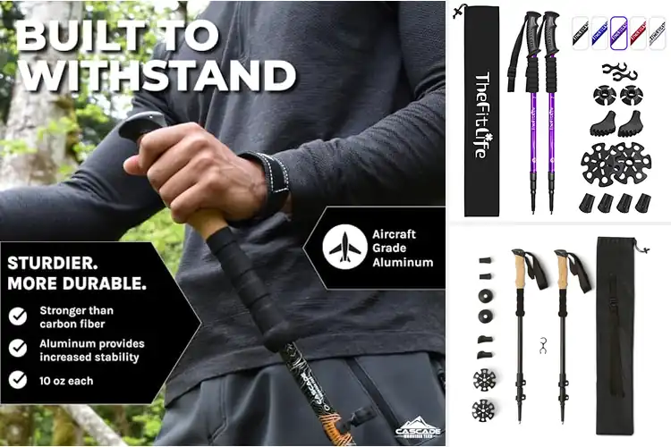 Detailed view of Best Hiking Poles