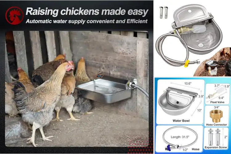 Detailed view of Best Hygienic Livestock Water Dispensers