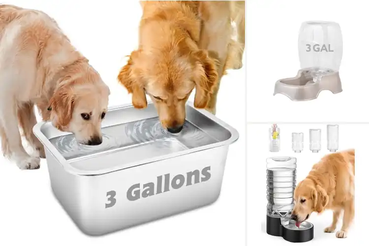 Detailed view of Best Large Capacity Animal Water Bowls