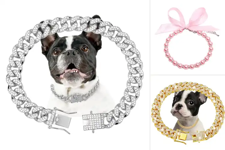 Detailed view of Best Large Pet Jewelry