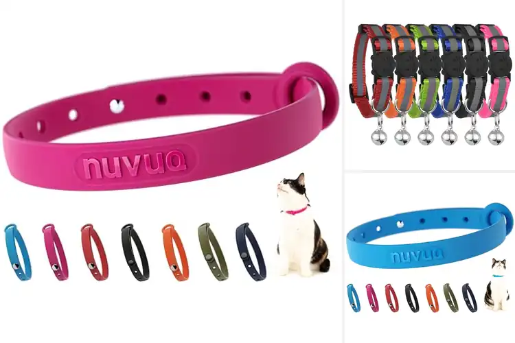 Detailed view of Best Lightweight Cat Collars
