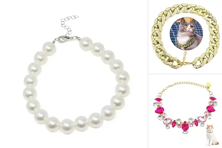 Detailed view of Best Lightweight Pet Necklace