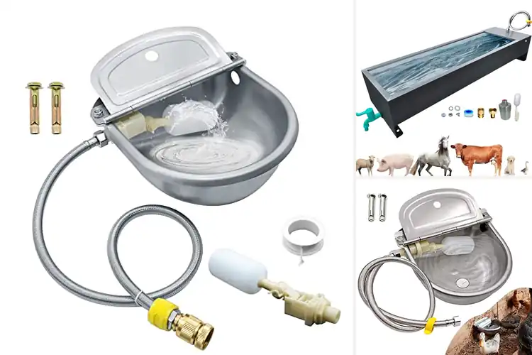 Detailed view of Best Livestock Water Dispensers: Hydration Made Easy