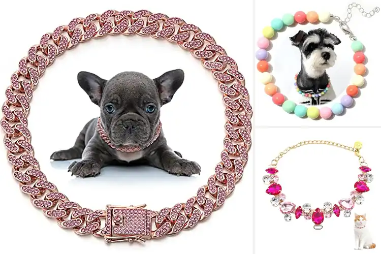 Detailed view of Best Medium Pet Necklaces