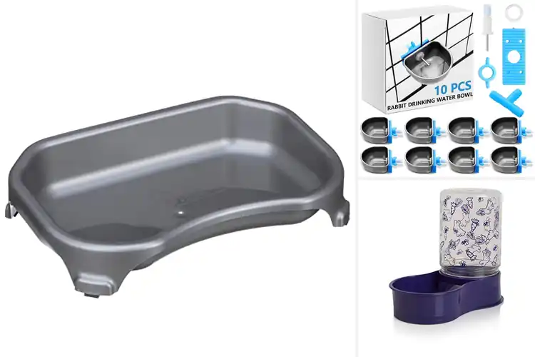 Detailed view of Best Multi-Animal Watering Bowls