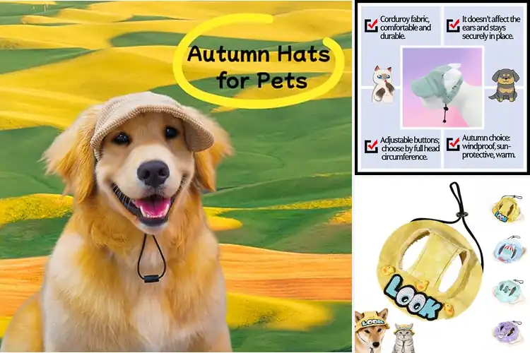 Detailed view of Best Multi-Color Sun Visors For Pets