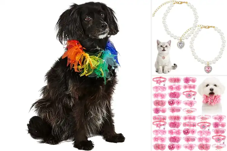 Detailed view of Best Party And Celebration Collar For Pets