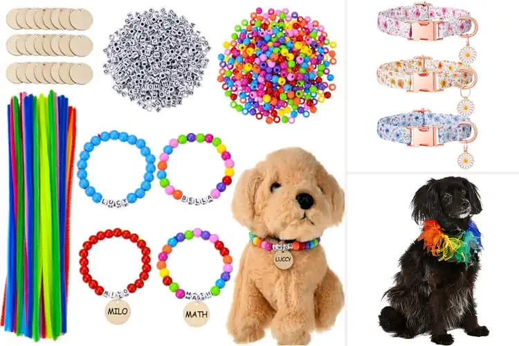 Detailed view of Best Party Pet Collars