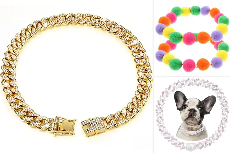 Detailed view of Best Party Walking Pet Necklace