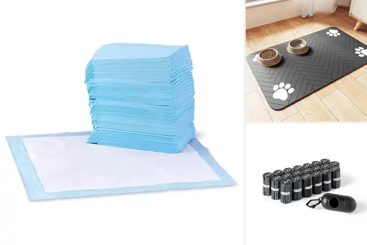 Detailed view of Best Pet Accessories: Top Picks for Happy, Healthy Pets