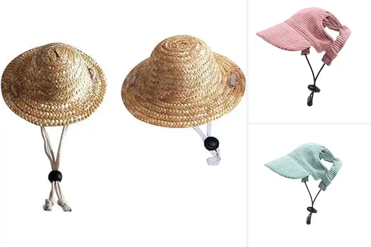 Detailed view of Best Pet Beach Hats: Stylish Sun-Safe Designs for Cool Pets