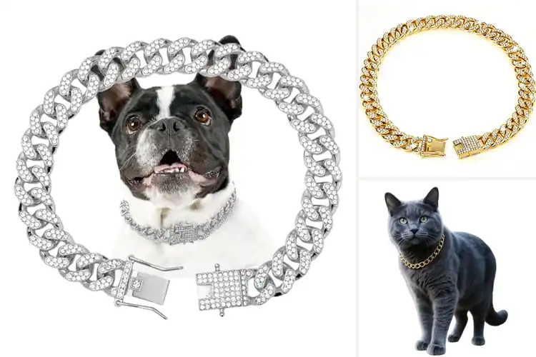 Detailed view of Best Pet Chains: Top Picks for Comfort & Stylish Safety