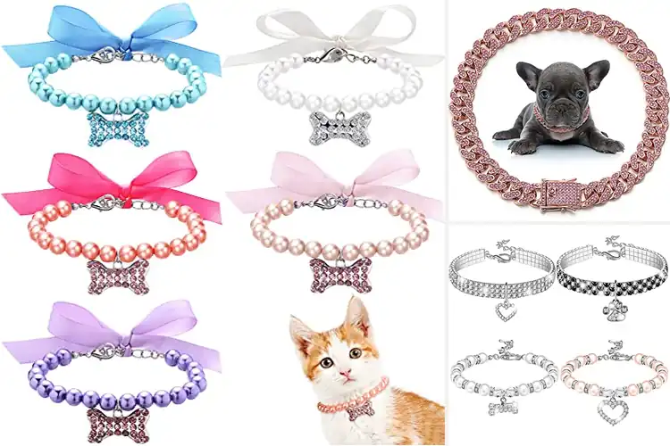 Detailed view of Best Pet Crystal Necklaces