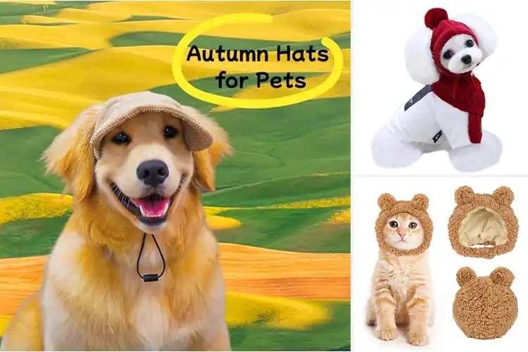 Detailed view of Best Pet Fall Hats