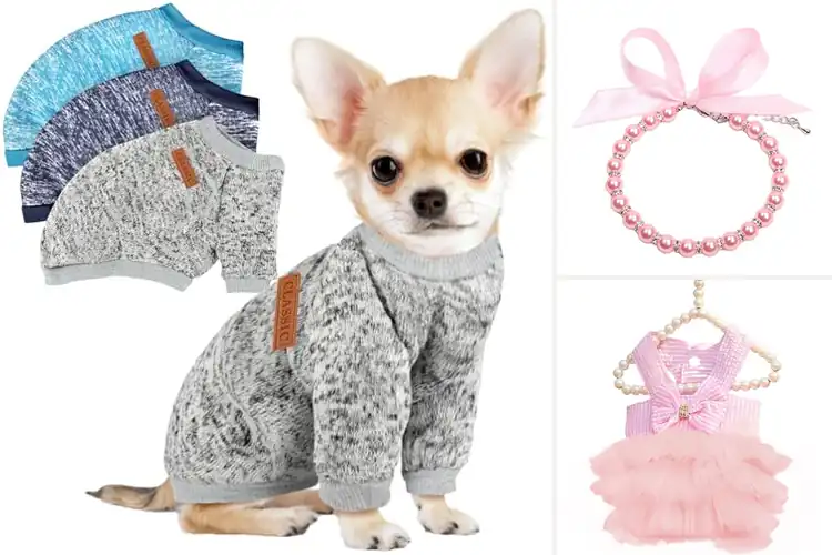 Detailed view of Best Pet Fashion
