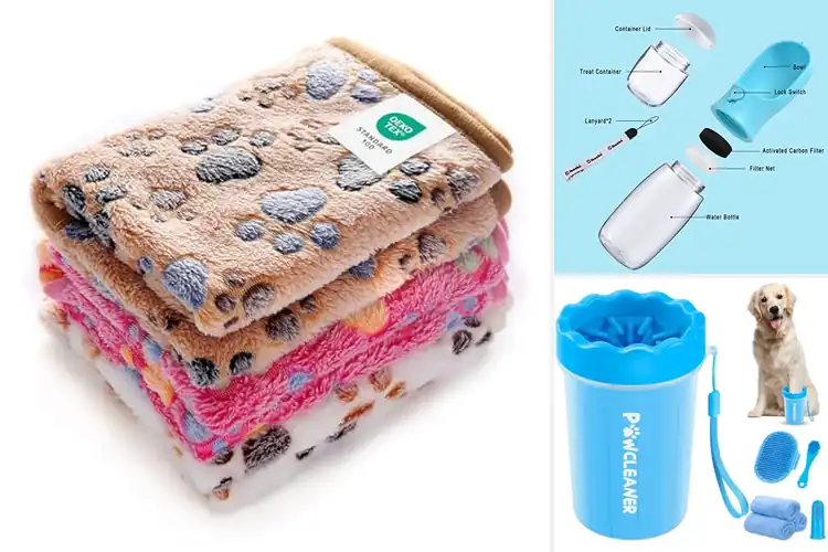 Detailed view of Best Pet Gifts