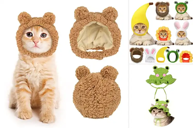 Detailed view of Best Pet Hats: Top 10 Stylish Picks for Your Furry Friend