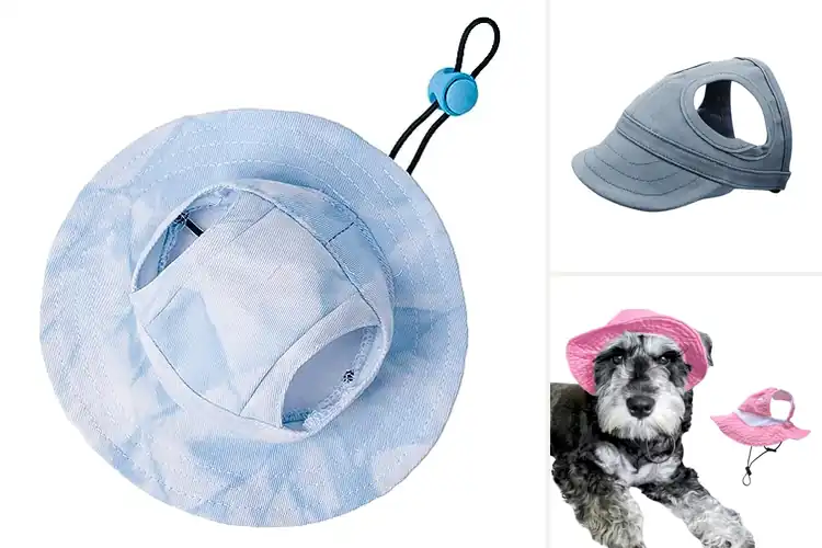 Detailed view of Best Pet Hiking Hats