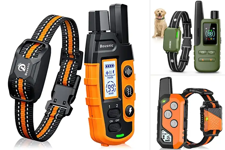 Detailed view of Best Pet Training Collar