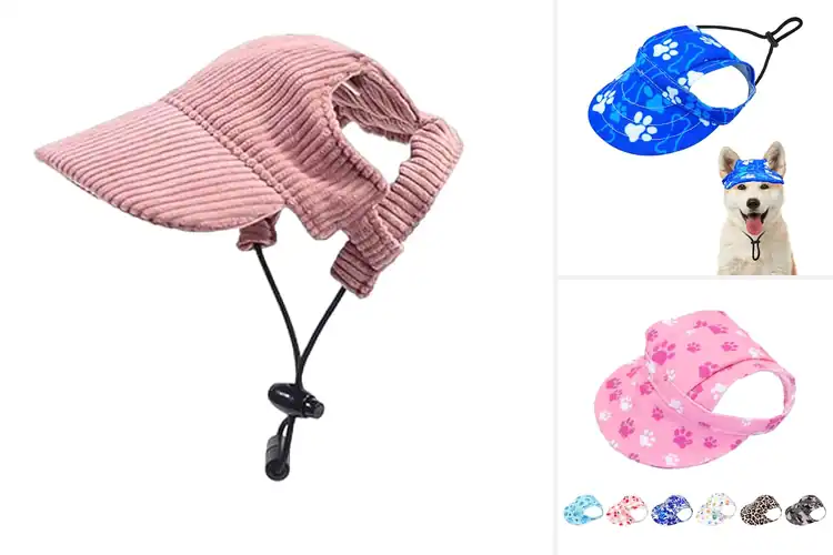 Detailed view of Best Pet Visor Hats