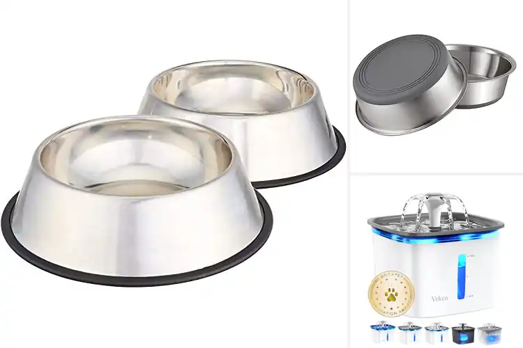Detailed view of Best Pet Water Bowls