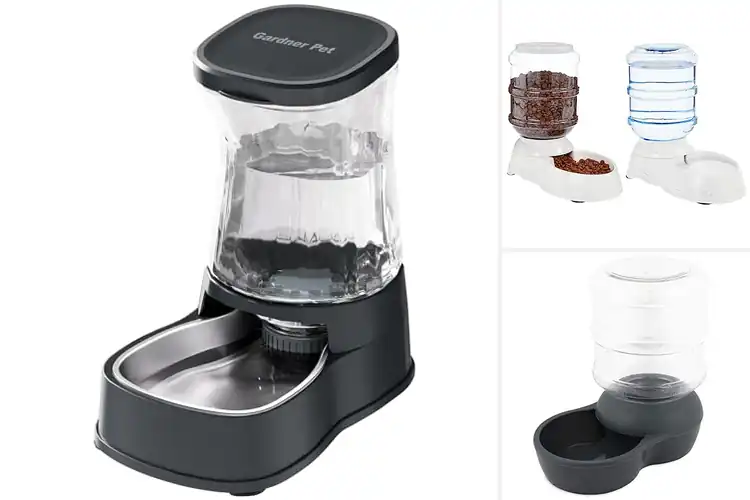 Detailed view of Best Pet Waterers: Top Picks for Hassle-Free Hydration