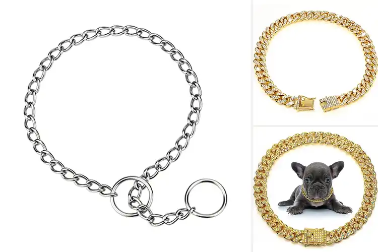 Detailed view of Best Puppy Chain Collars