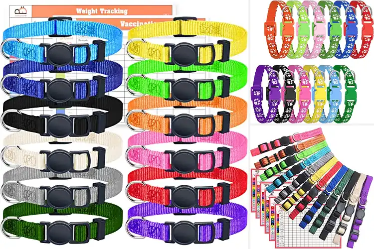 Detailed view of Best Puppy Collars: Top 10 Safe & Stylish Picks for Your Pup