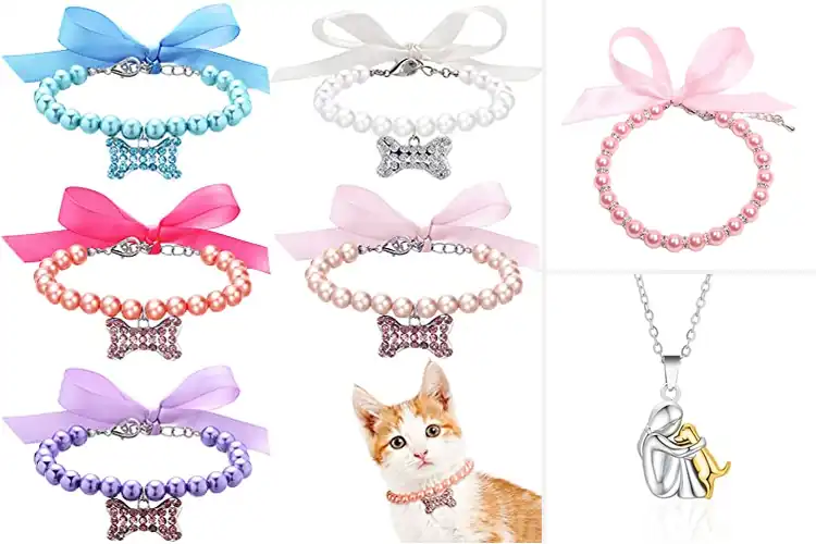 Detailed view of Best Puppy Necklaces