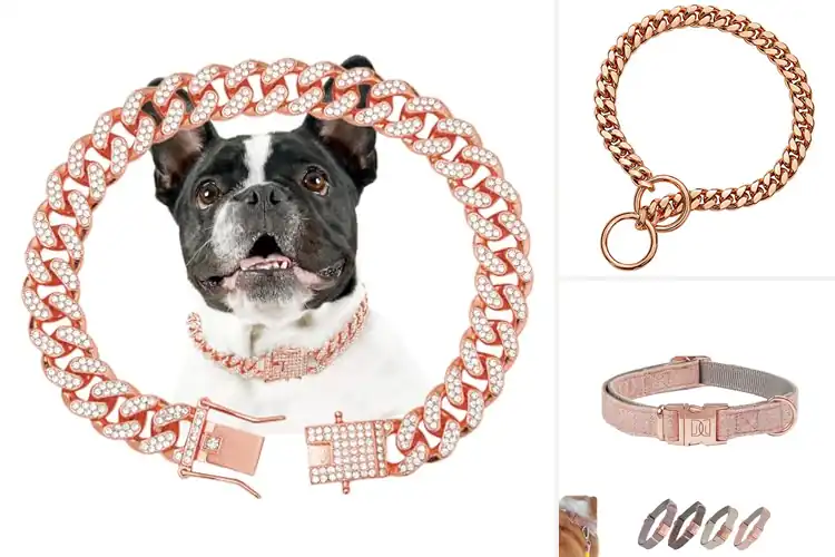 Detailed view of Best Rose Gold Collar