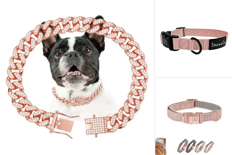 Detailed view of Best Rose Gold Pet Collars