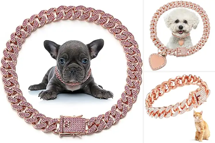 Detailed view of Best Rose Gold Pink Pet Collar For Small Dogs And Cats