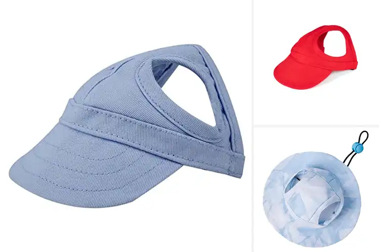 Detailed view of Best S M L Pet Hat Sizes: Perfect Fit Guide for Stylish Pets
