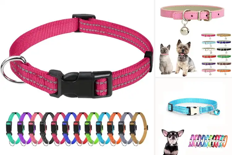 Detailed view of Best Sized Dog Collars For Cats And Small Pets