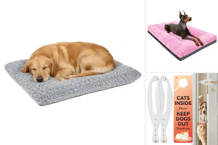 Detailed view of Best Sized for Small To Large Pets