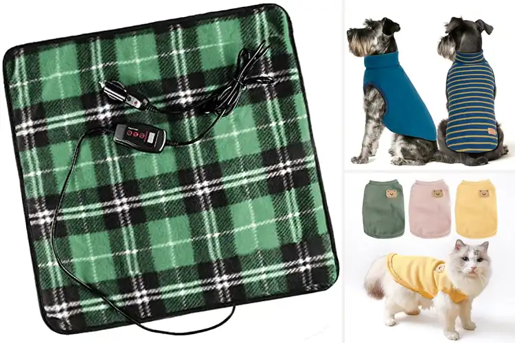 Detailed view of Best Sizing For Pets: Expert Tips for Perfect Comfort Fit