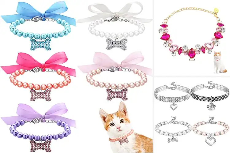 Detailed view of Best Small Pet Necklaces