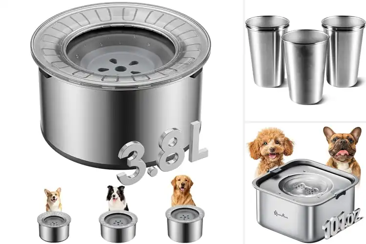 Detailed view of Best Stainless Steel Drinkers