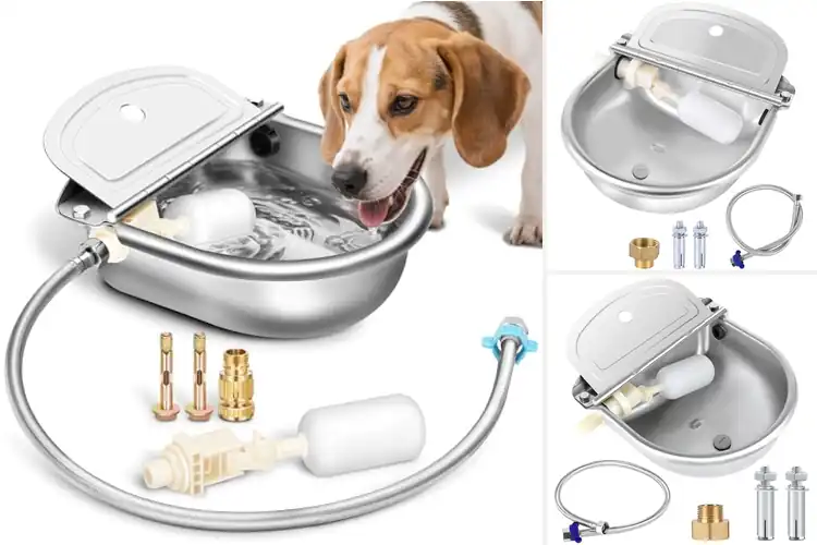 Detailed view of Best Stainless Steel Horse Water Bowl