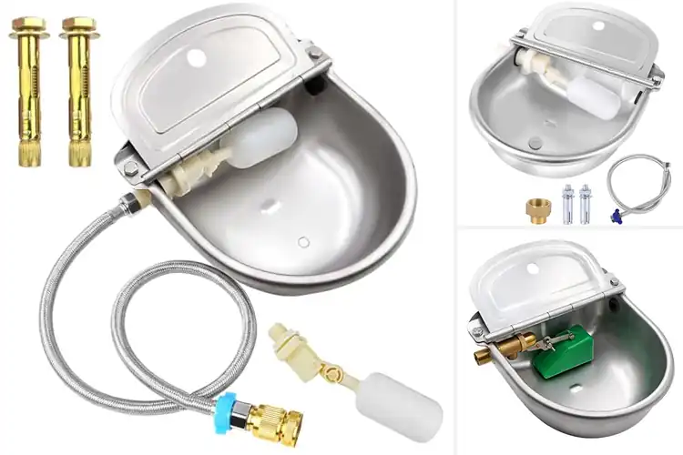 Detailed view of Best Stainless Steel Water Bowl For Livestock