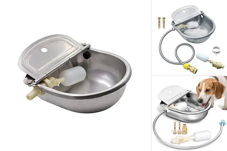 Detailed view of Best Stainless Steel Waterer Bowl 304
