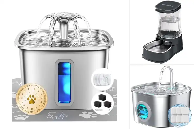 Detailed view of Best Stainless Steel Waterers