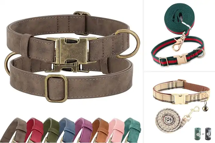 Detailed view of Best Stylish Collars
