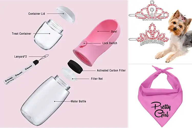 Detailed view of Best Stylish Pet Accessories