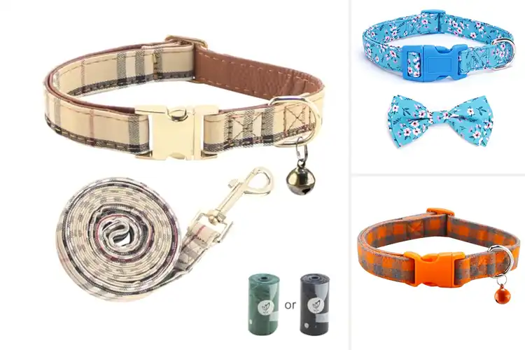 Detailed view of Best Stylish Pet Collars: Elevate Your Pet’s Fashion Game